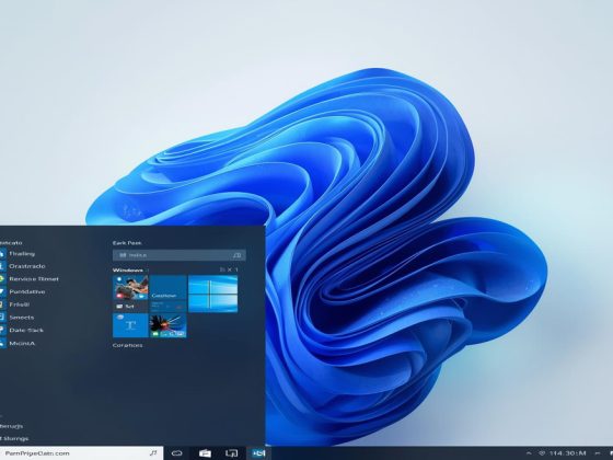 Windows 11 Yükseltme Rehberi ve Temiz Kurulum Adımları